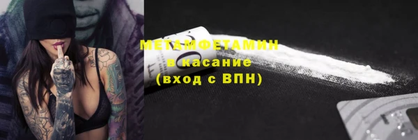 ГАЛЛЮЦИНОГЕННЫЕ ГРИБЫ Богданович
