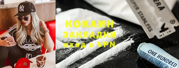 ГАЛЛЮЦИНОГЕННЫЕ ГРИБЫ Богданович
