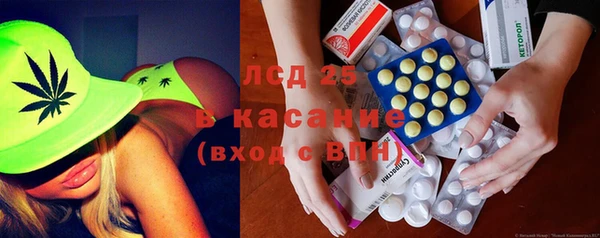 ГАЛЛЮЦИНОГЕННЫЕ ГРИБЫ Богданович