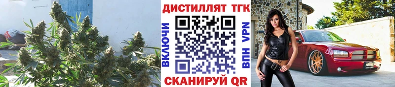 мориарти какой сайт где можно купить наркотик KRAKEN рабочий сайт Биробиджан Дистиллят ТГК концентрат
